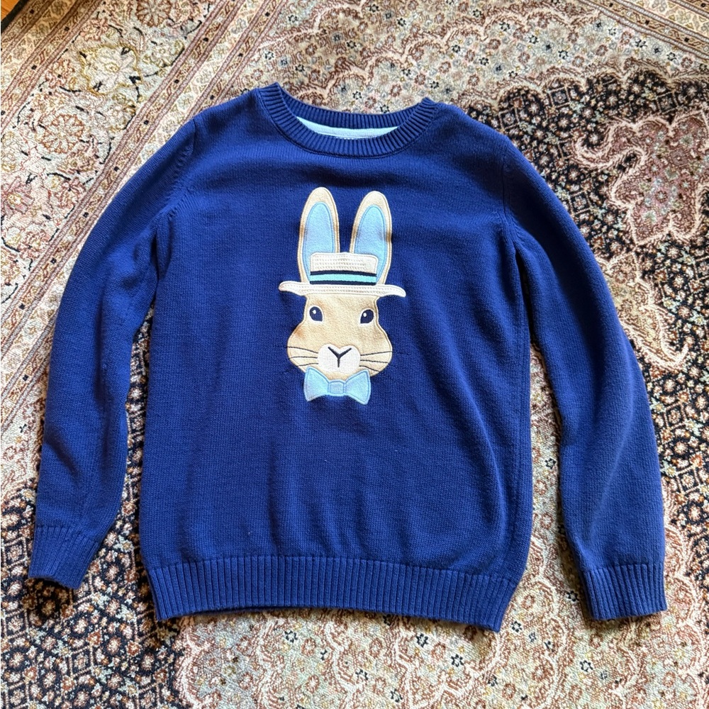 Gymboree Blue Knit Sweater